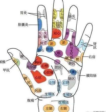 手指代表器官|看五指，知五脏，手指对应人体各个系统，赶快对照看看自己的手。